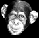 Benutzeravatar